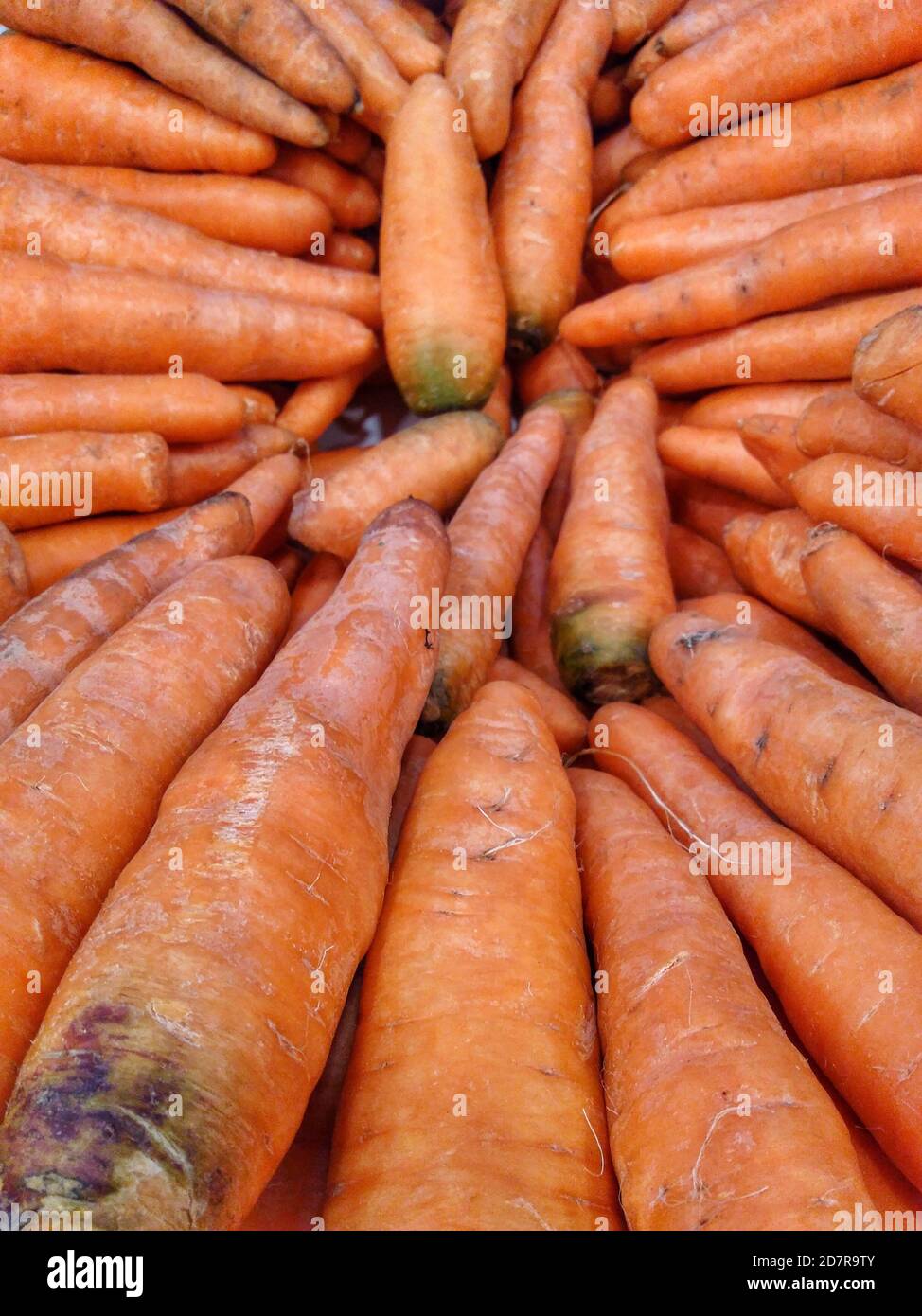 A lot of carrot hi-res stock photography and images - Alamy