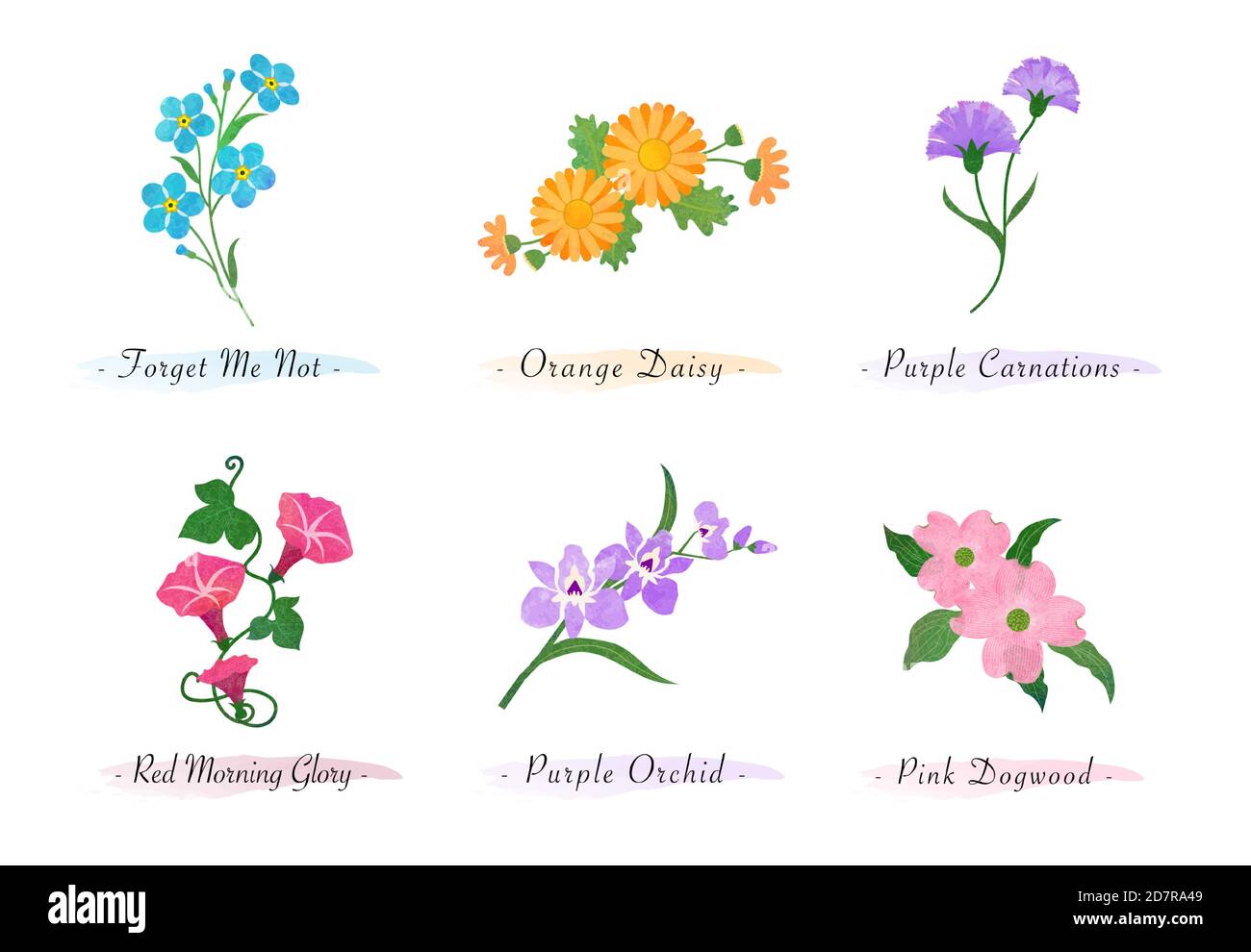 Dogwood Petals Cut Out Stock Images Pictures Alamy