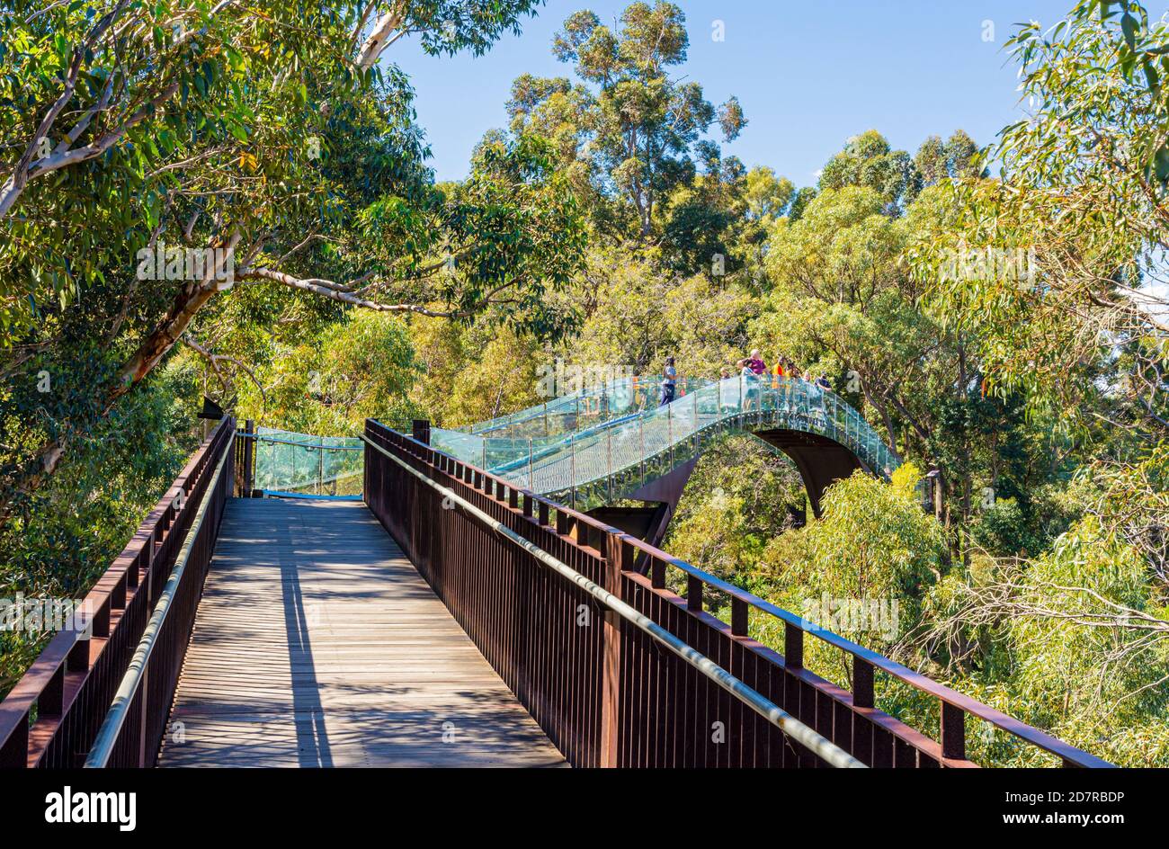 Kings Park Gardens Hi Res Stock Photography And Images Alamy