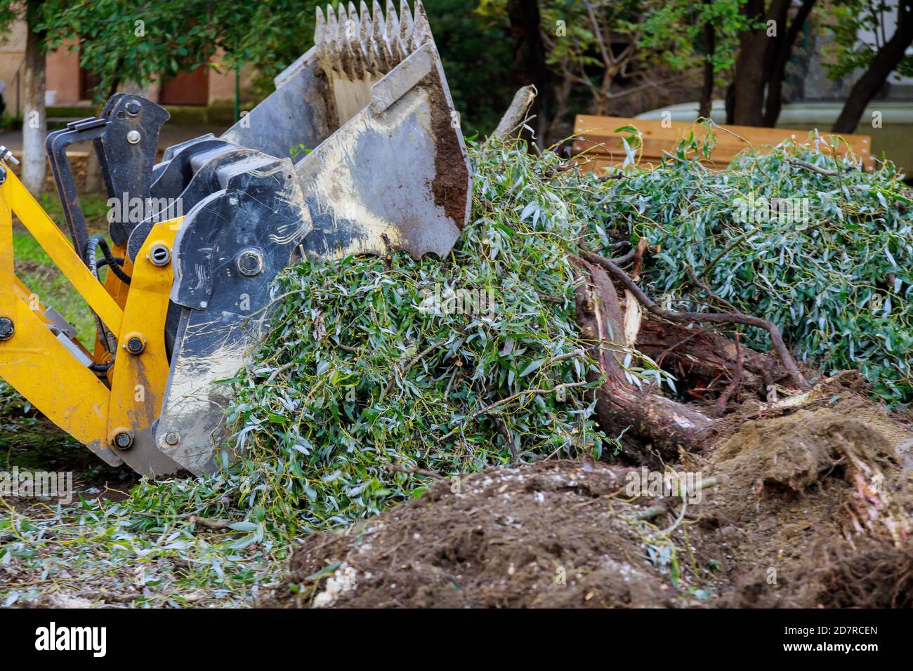 Excavator clearing land from roots and branches trees with dirt and trash yard work backhoe machinery Stock Photo