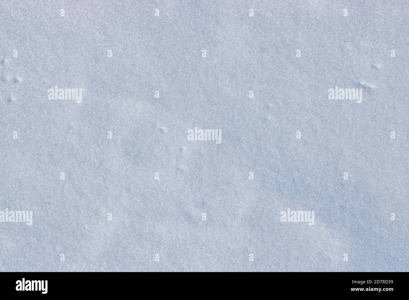 Winter christmas background, white snow texture with copy space Stock Photo