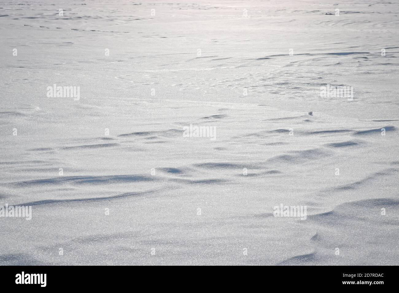 Winter christmas background, white snow texture with copy space Stock Photo