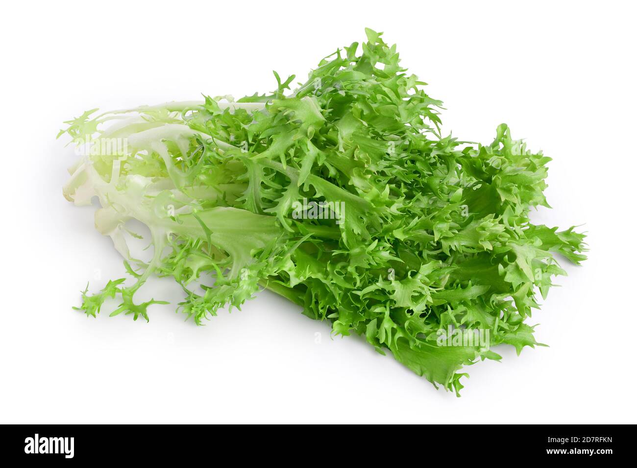 Fresh green leaves of endive frisee chicory salad isolated on white background with clipping path and full depth of field Stock Photo
