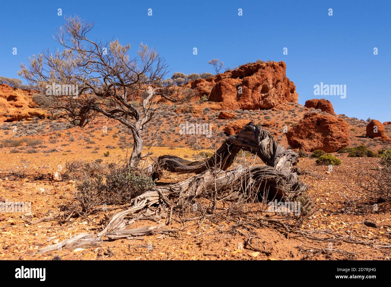 Extreme outback conditions results in 'breakaway' country and stunted vegetation. Stock Photo