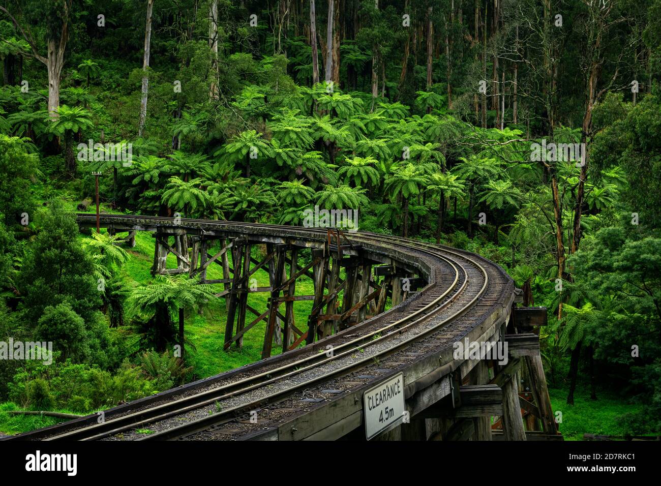 Famous Puffing Billy steam train trestle bridge in the Dandenong Ranges. Stock Photo