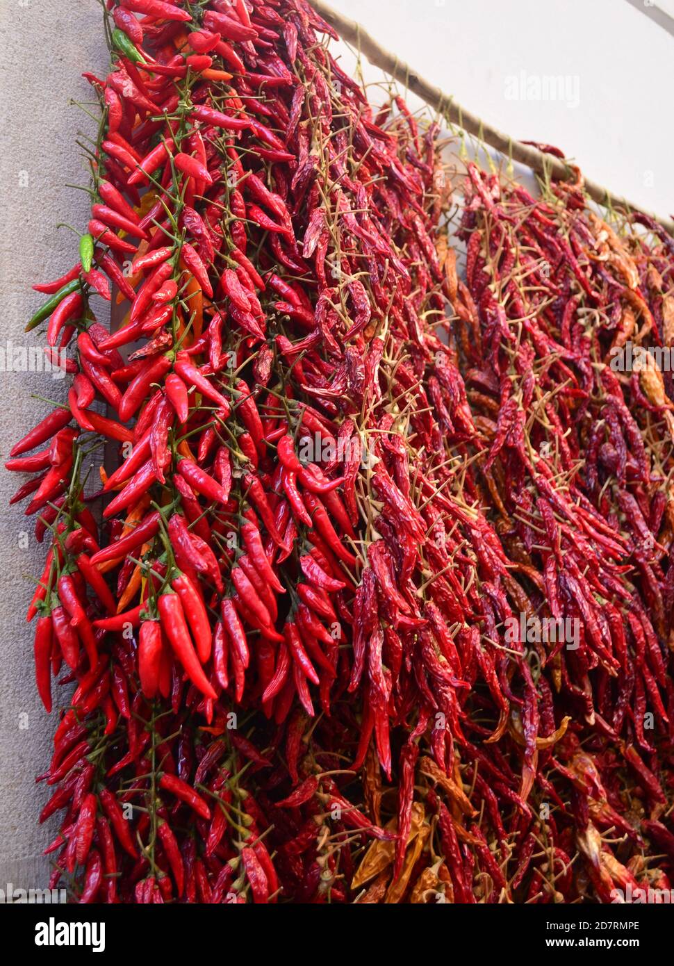 Red hot chilli peppers drying in a market Stock Photo - Alamy