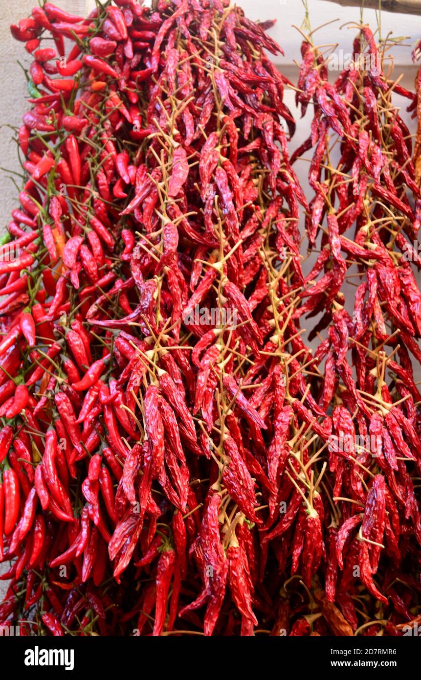 Sun drying red hot chilli peppers hanging Stock Photo - Alamy