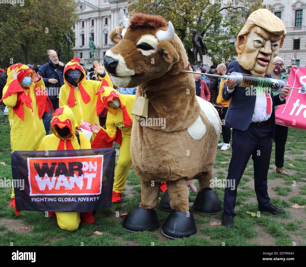 London, UK. 24th Oct, 2020. A Pantomime cow and a flock of chlorinated chickens try to avoid being injected with hormones by a fake Donald Trump and a businessman during the protest.Stop Trump, Stop the post Brexit Trade Deal protest in Parliament Square. Action against the NHS being opened up permanently to American healthcare companies. Chlorinated chicken AND hormone-laced beef and lowering of food standards. Plus the forced deregulation of environmental laws and our rights to data privacy. Credit: SOPA Images Limited/Alamy Live News Stock Photo
