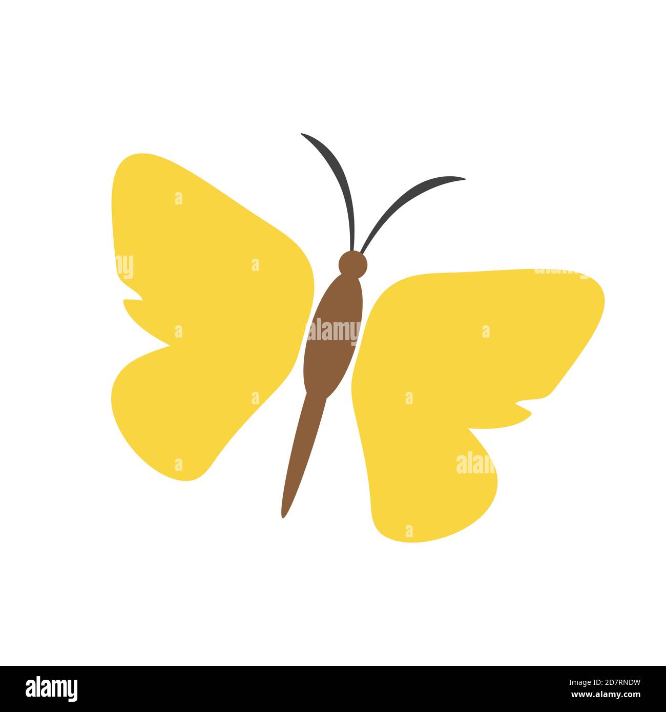 Butterfly vector isolated Stock Vector Image & Art - Alamy