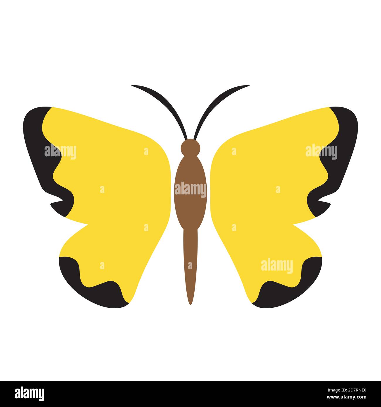 Butterfly vector isolated Stock Vector Image & Art - Alamy
