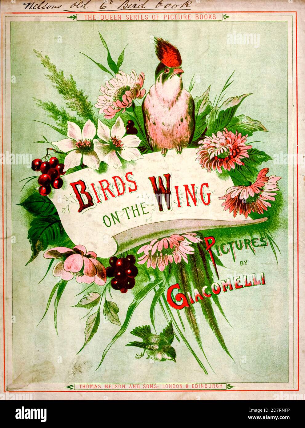 colourful book cover of 'Birds on the wing' by Giacomelli [Hector Giacomelli (April 1, 1822 in Paris – December 1, 1904 in Menton), was a French watercolorist, engraver and illustrator, best known for his paintings of birds.] Published in London by Thomas Nelson & Sons 1878. The book contains Hand-colored plates with accompanying text in verse Stock Photo