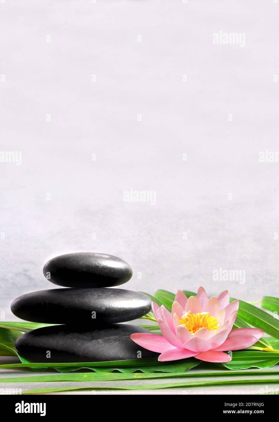 Stack of grey massage stones on grey background and lotus flower. Spa concept Stock Photo Alamy