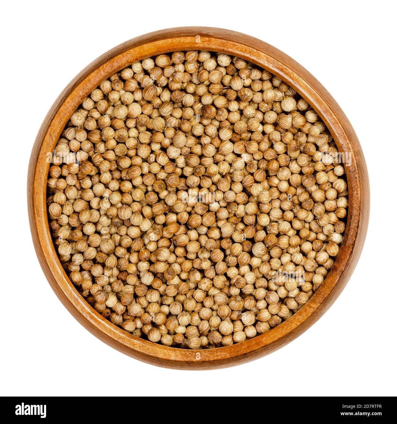 Coriander coriandrum sativum coriander fruits Cut Out Stock Images