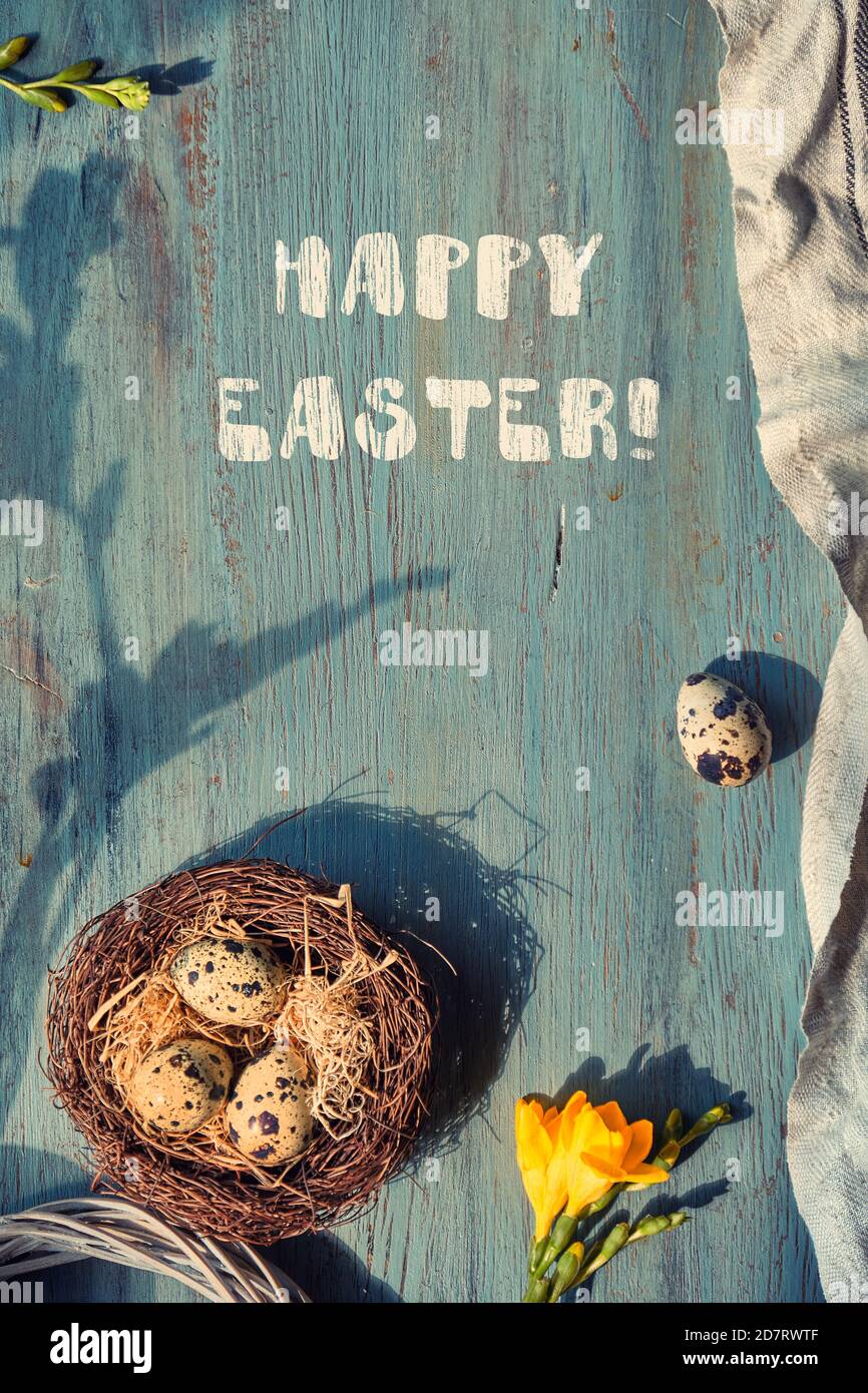 Quail Easter eggs in bird nest. Springtime natural decorations with ...