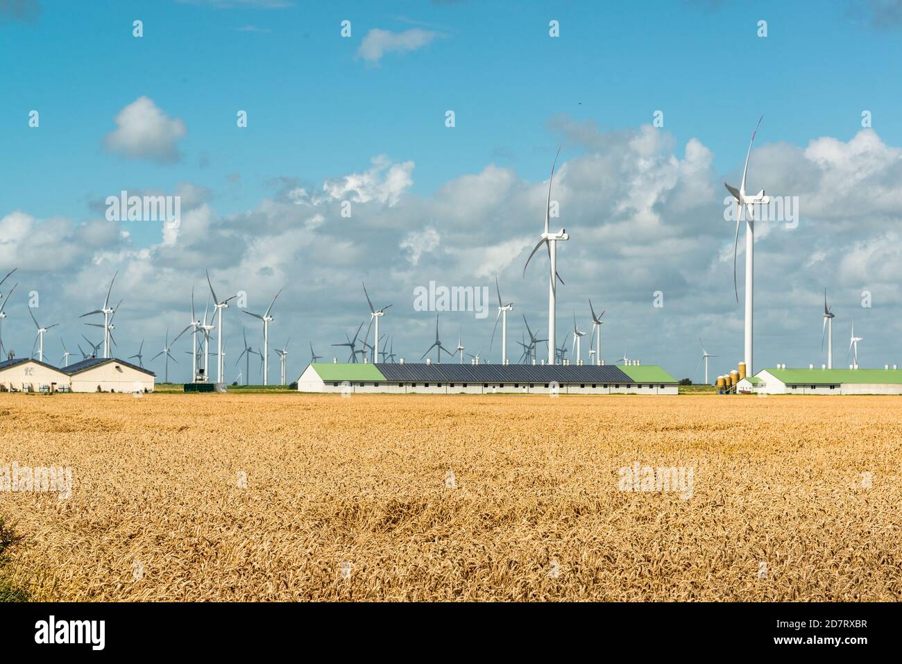 Herbstliche Impressionen aus Schleswig-Holstein im Oktober Stock Photo - Alamy