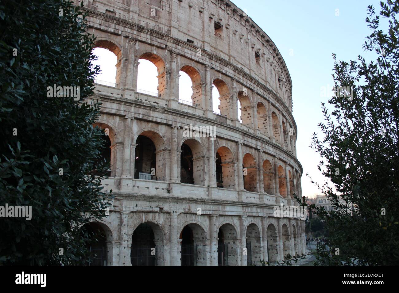 Original view of colosseum between two trees at evening Stock Photo