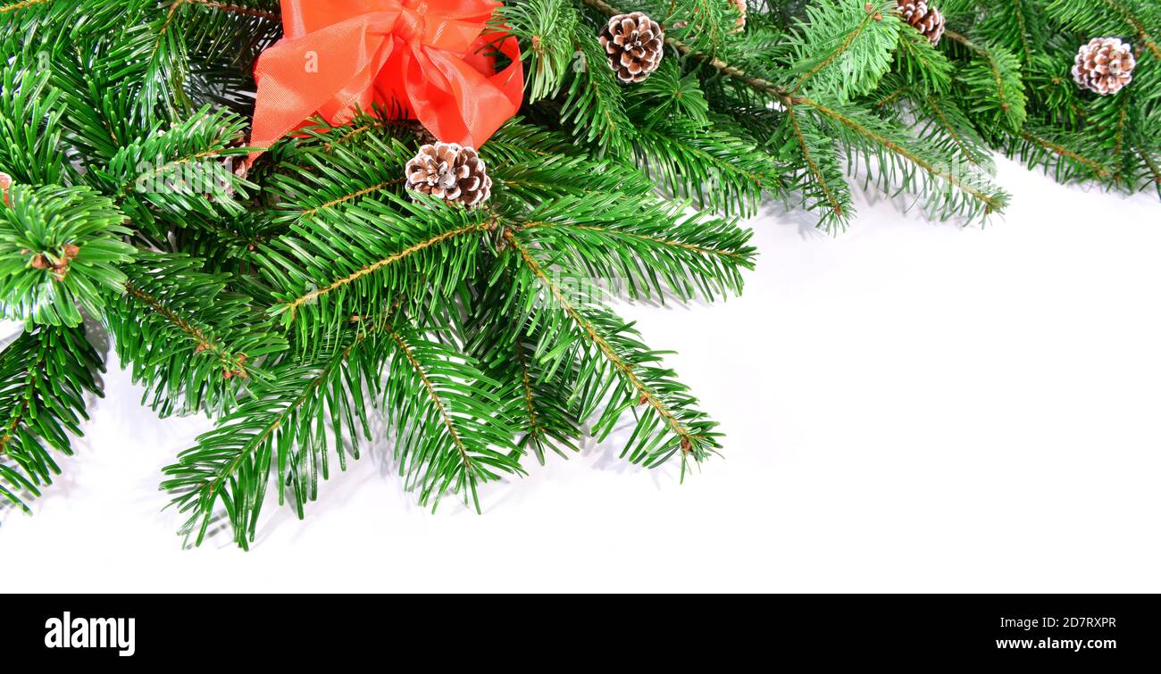 Christmas Fir Branches with Fir Cones isolated on white Background ...