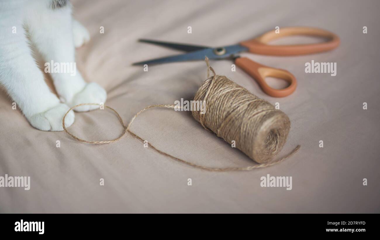 On the soft light fabric lies a coil of rough hemp rope and modern