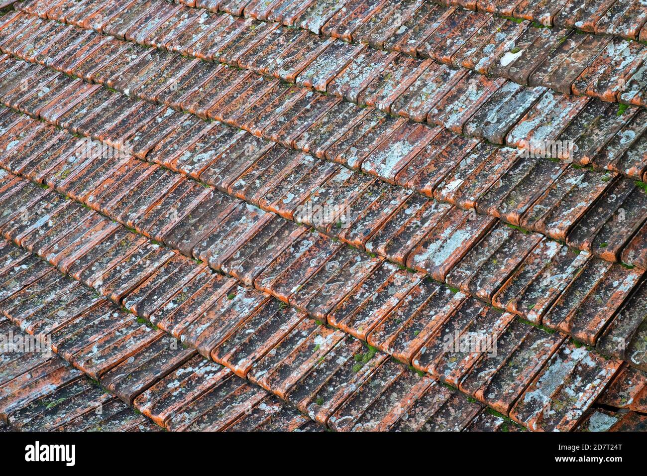 Red Ceramic Tile High Resolution Stock Photography and Images - Alamy