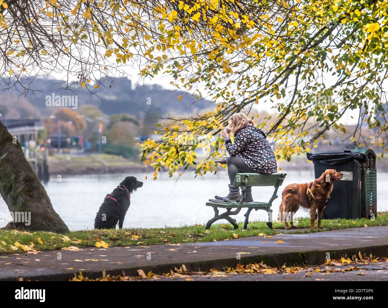 The Marina, Cork, Ireland. 25th October, 2020. Clodagh O' Driscoll from Blackrock sits and enjoys a coffee while on her morning walk with her two dogs Murphy and Rua  on the Marina in Cork, Ireland. - Credit; David Creedon / Alamy Live News Stock Photo