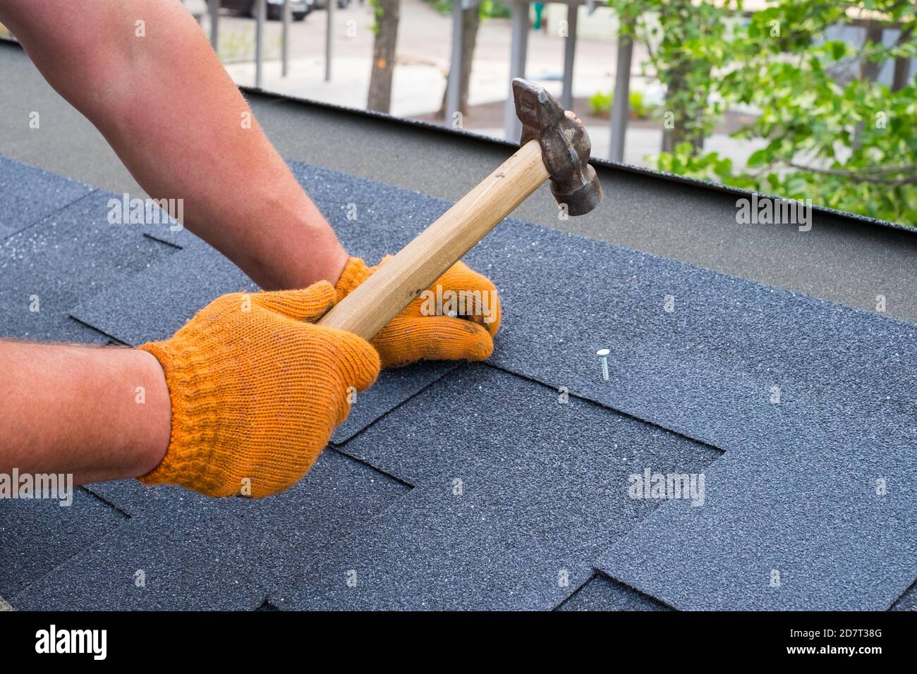 Workers hands installing bitumen roof shingles using hammer in nails ...
