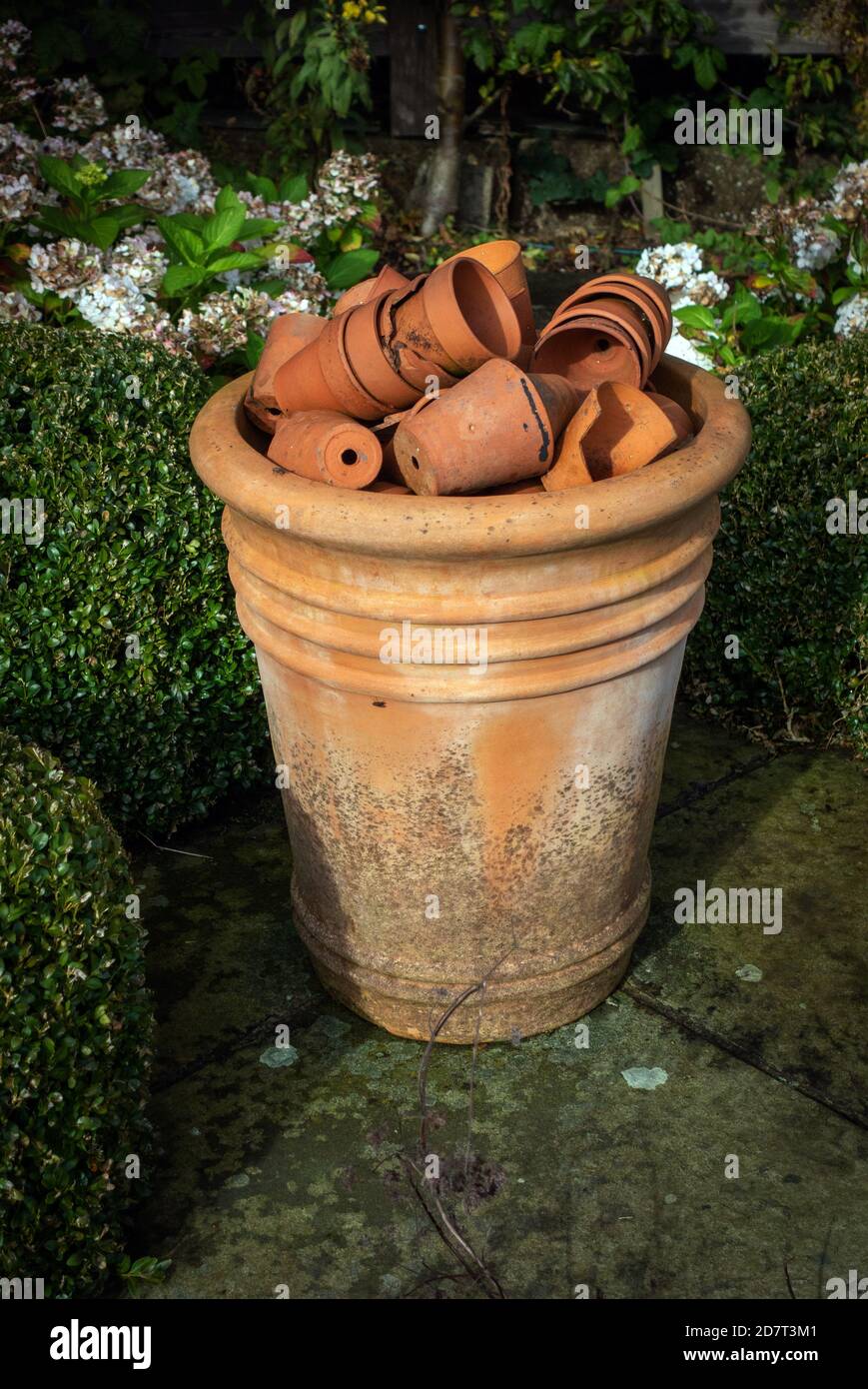 Very large terracotta plant pot with lots of small terracotta plant