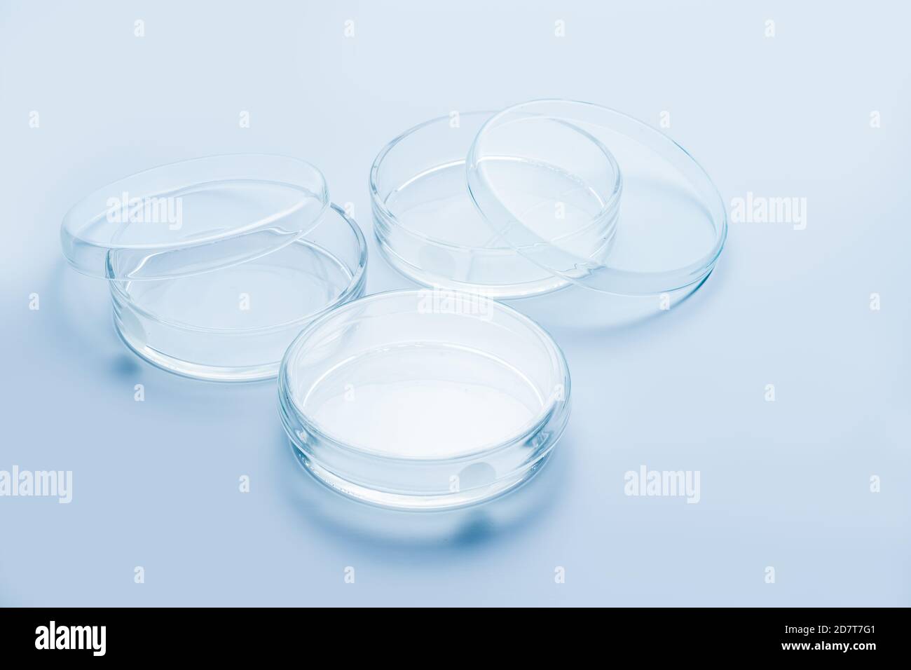 Transparent glass Petri dishes on blue background, Biology laboratory ...