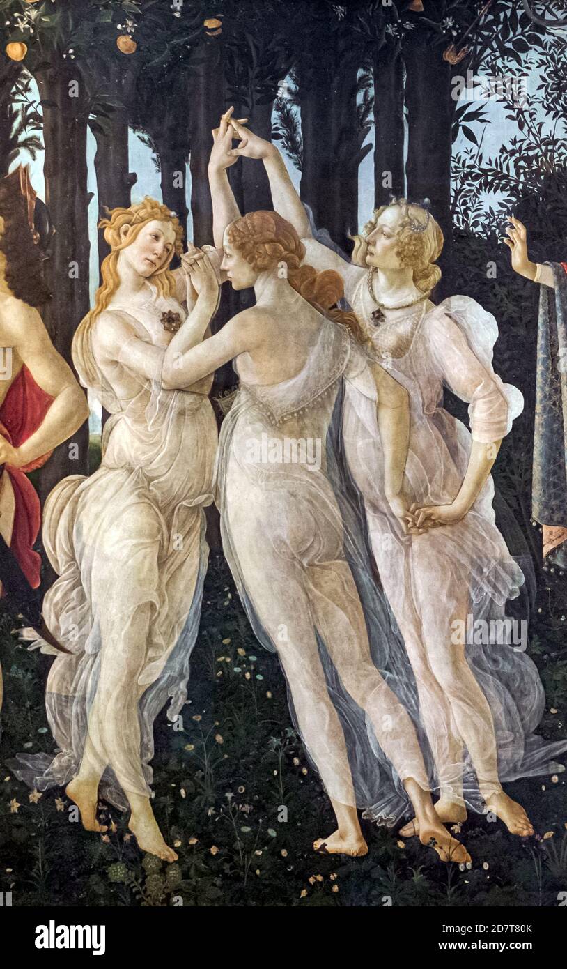 Alessandro Filipepi alias Sandro Botticelli (1445-1510), The three Graces Detail from Primavera (springtime), 1478-1482 circa, Tempera on panel. Uffiz Stock Photo