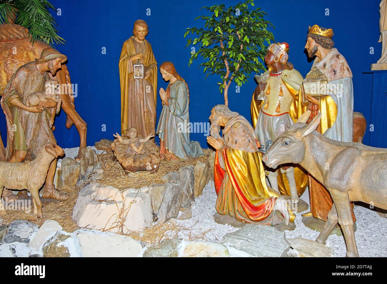 Nativity animals hires stock photography and images Alamy