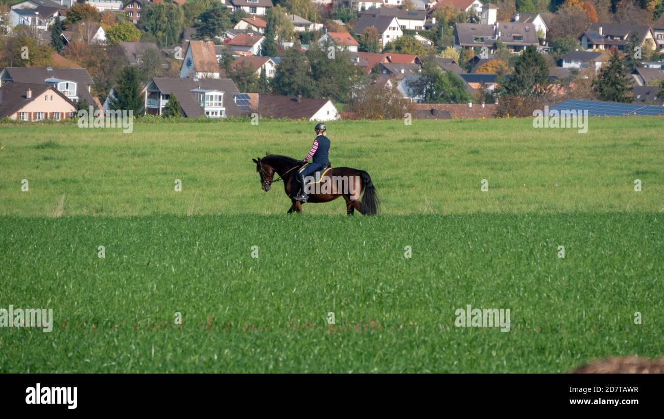 Leisure rider hi-res stock photography and images - Alamy