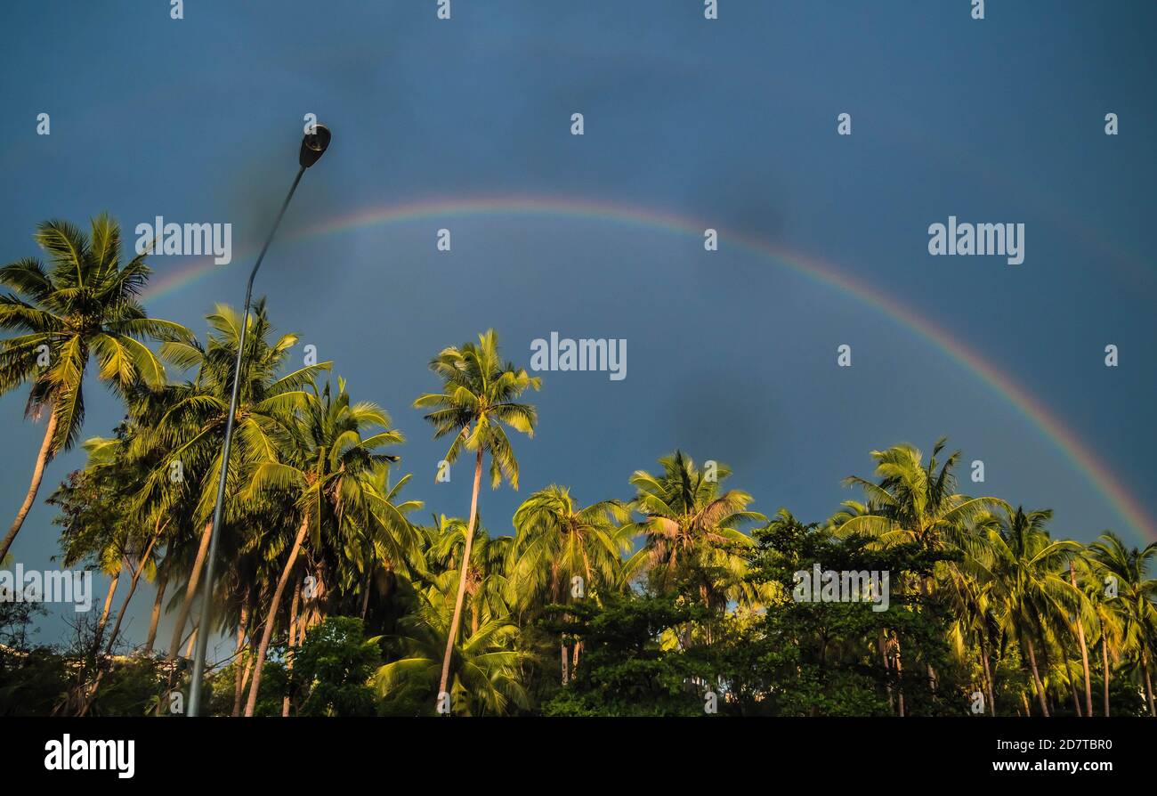 Circle spectrum Rainbow on the blue sky after rain over the Palm Trees ...