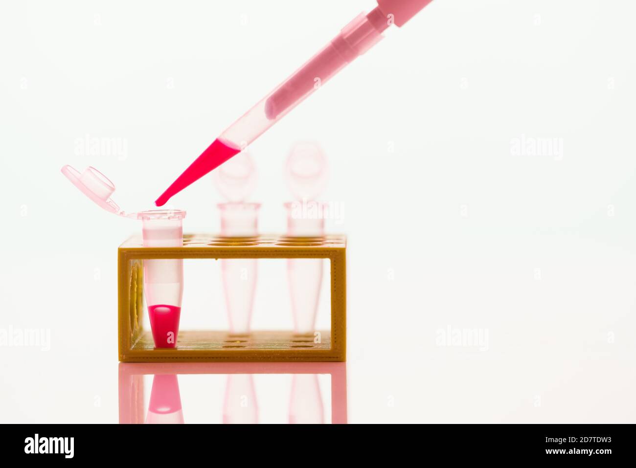 PCR Tube Strips Well  and Pipette in genetic research laboratory close up Stock Photo