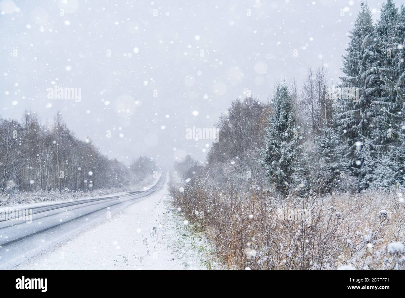 Winter road through the forest Stock Photo - Alamy