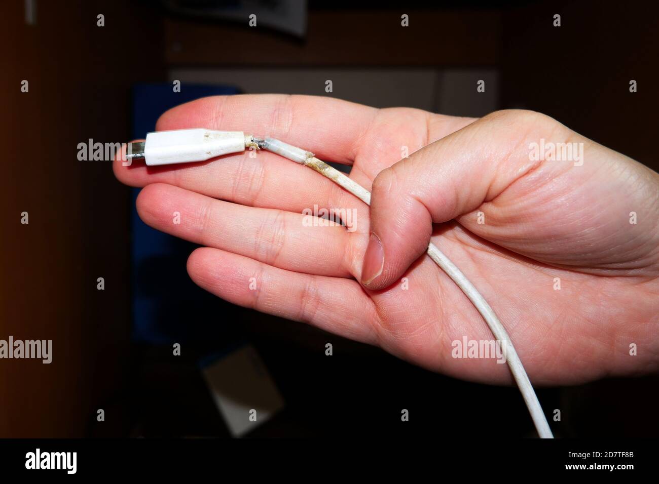 A hand holding a broken USB type C wire  Stock Photo