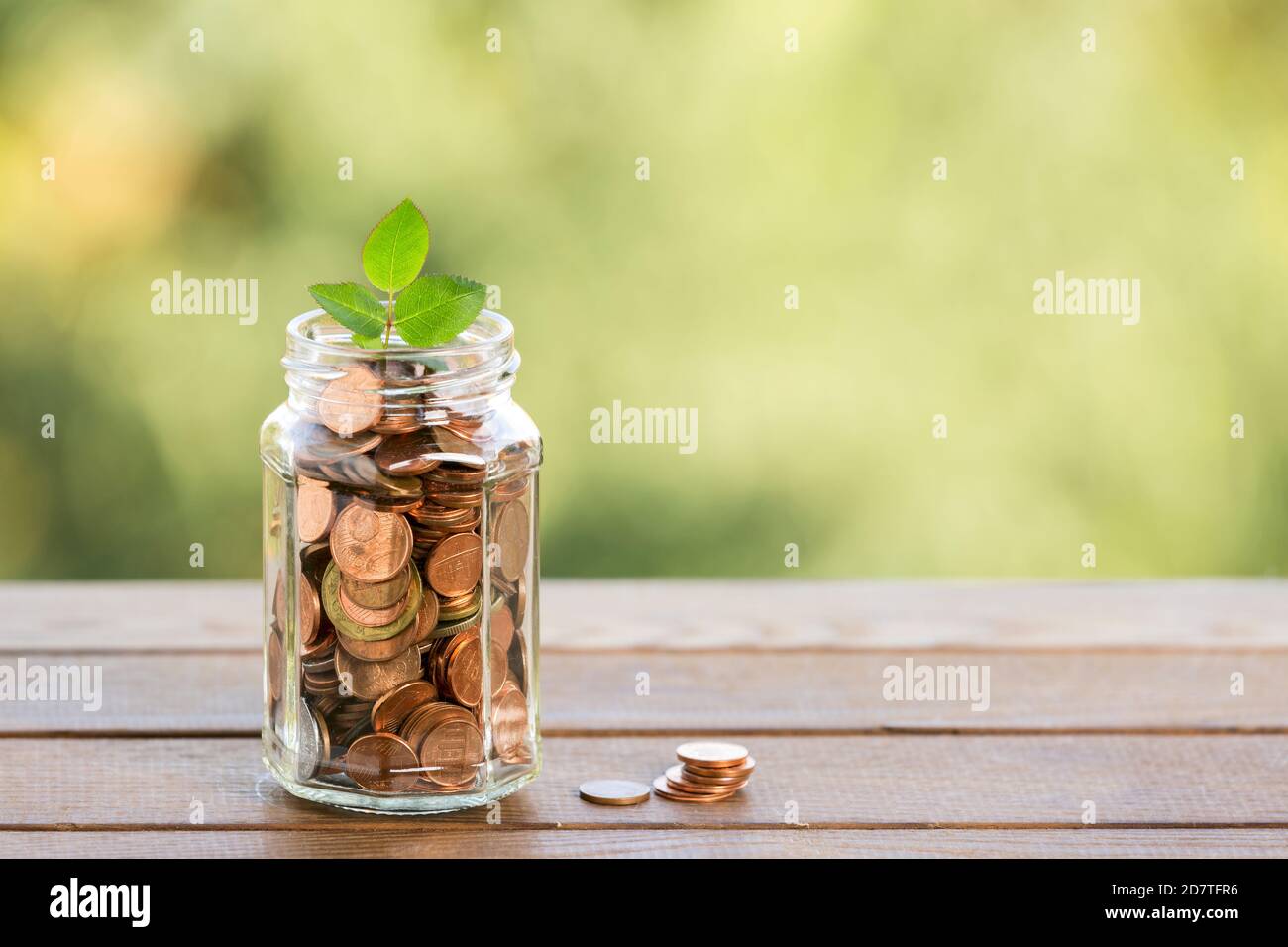 Plant growing from coins in the glass jar on blurred green natural ...