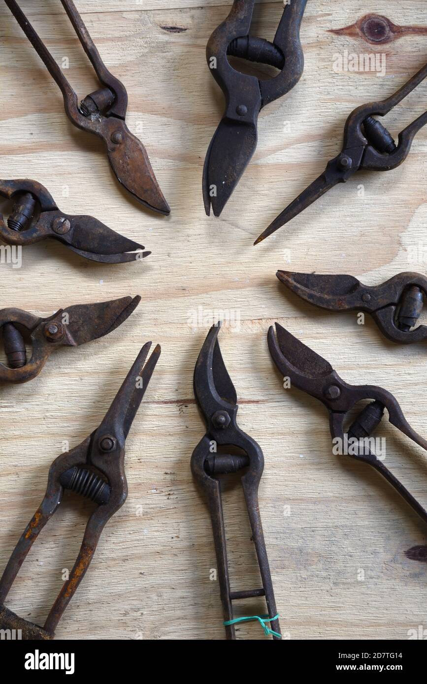 Garden shears hi-res stock photography and images - Alamy