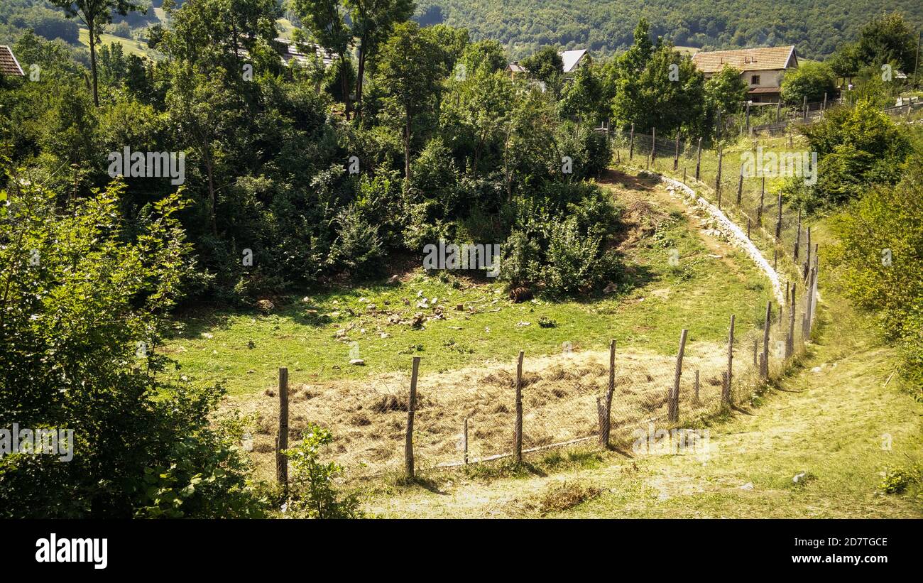 Huge brown bear eating near the closure of they large space in the Kuterevo bears sanctuary in Croatia, protection of the wild animals Stock Photo