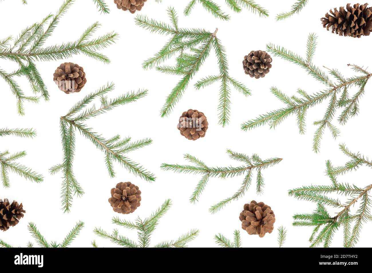 Christmas pattern with fir branches and pine cones on white background ...