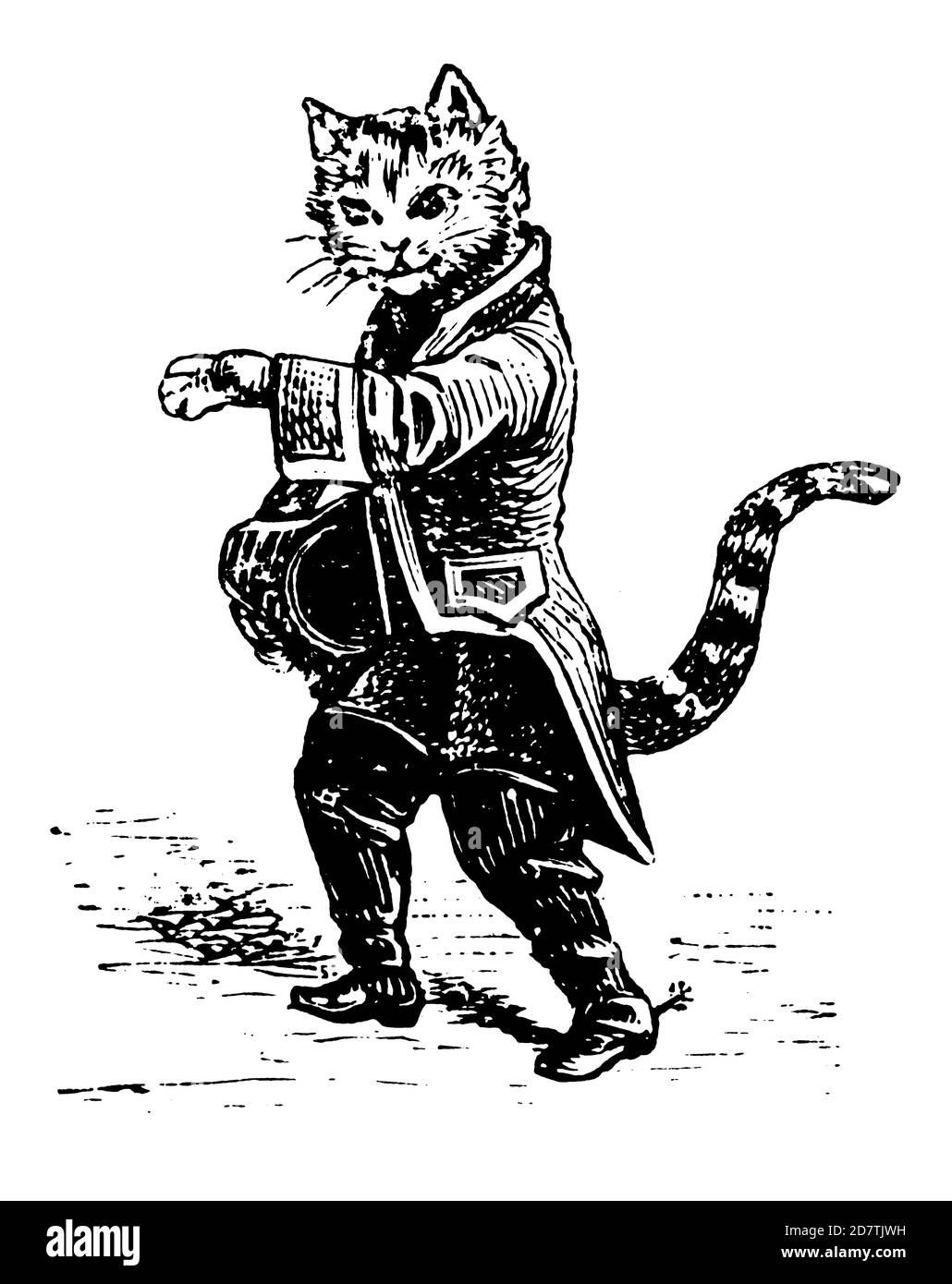 Antique engraving of the Puss in boots (isolated on white). Published in Specimens des divers caracteres et vignettes typographiques de la fonderie by Stock Photo