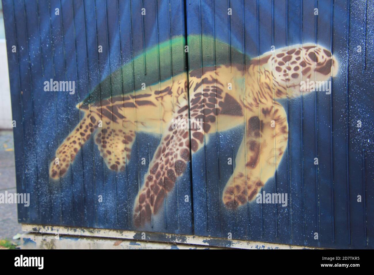 Streetart, Graffiti auf einem Stromkasten am Straßenrand, Der Künstler hat den Kasten mit einer Meeres-Schildkröte verziert. Stock Photo