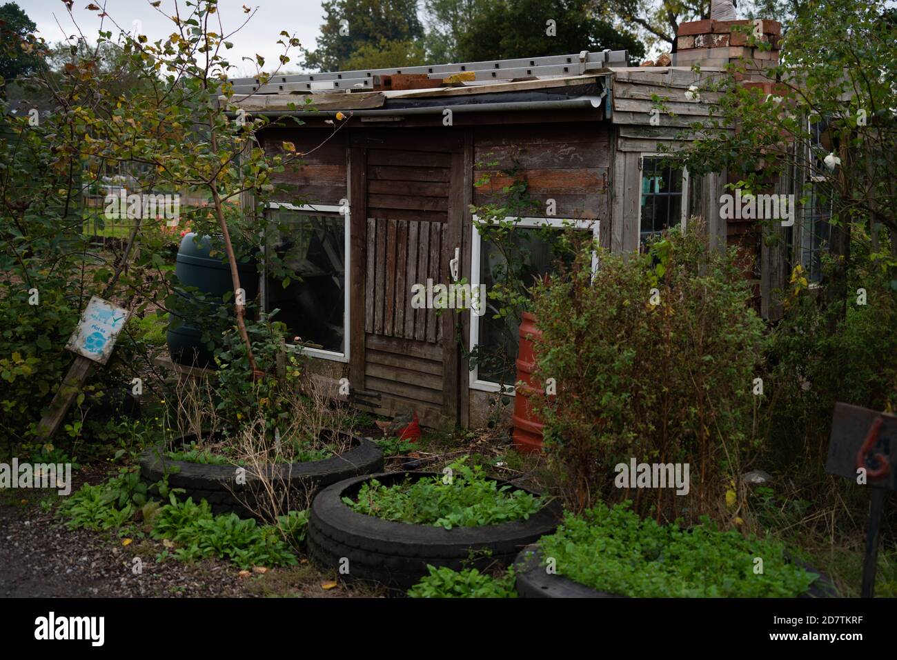 Allotment, vegetable, patch, compost heap, cabbage patch, planning