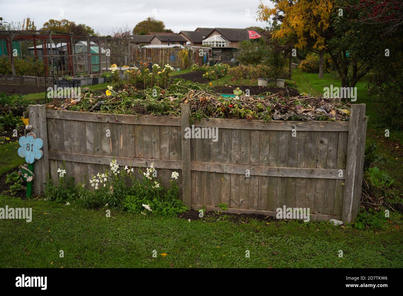 Allotment, vegetable, patch, compost heap, cabbage patch, planning
