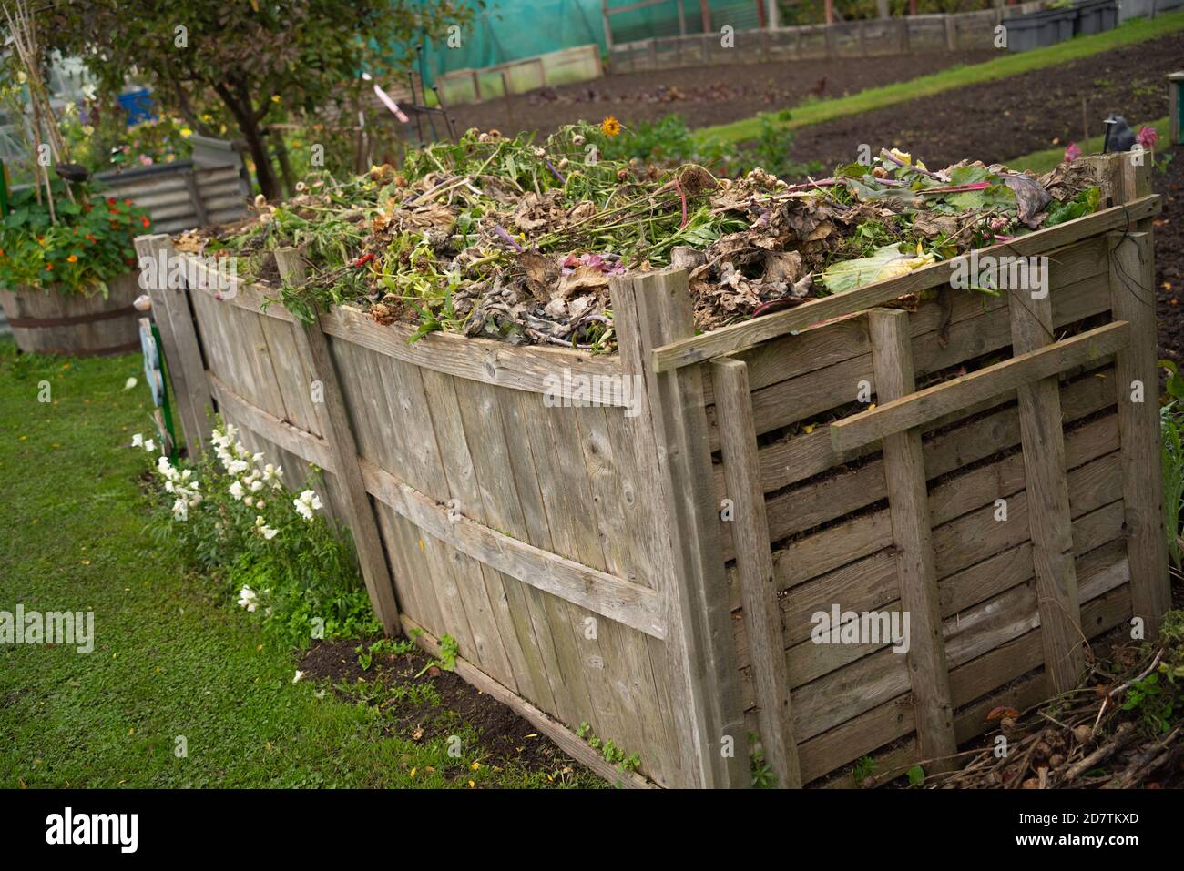 Allotment, vegetable, patch, compost heap, cabbage patch, planning