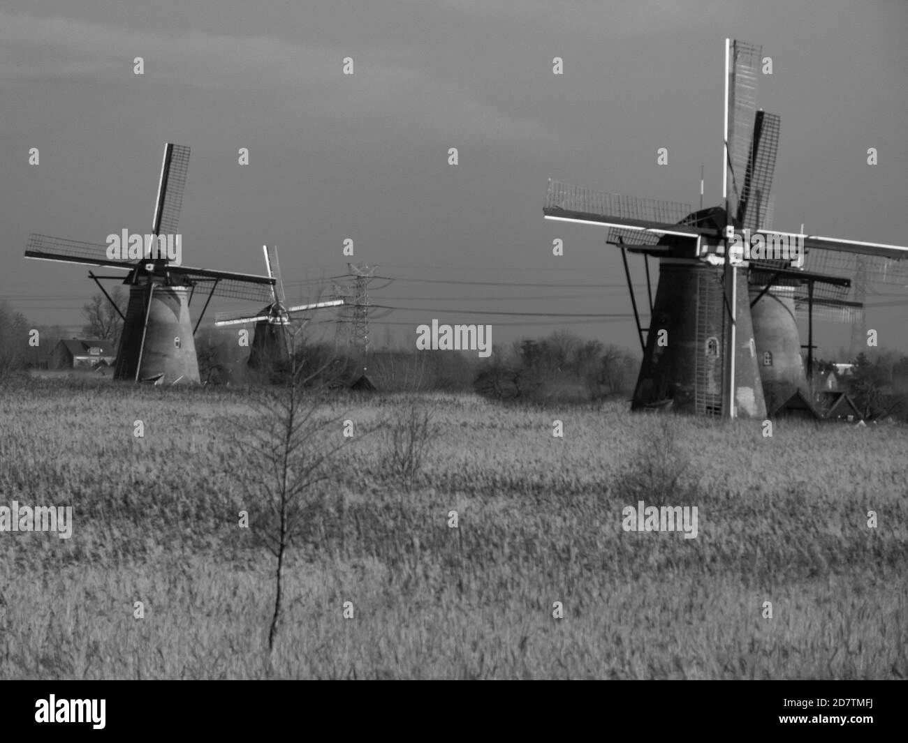 kinderdijk in the netherlands Stock Photo Alamy