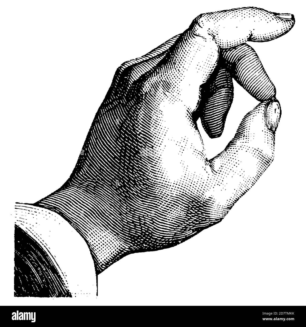 Hand illustration, 19th century black and white drawing Stock Photo