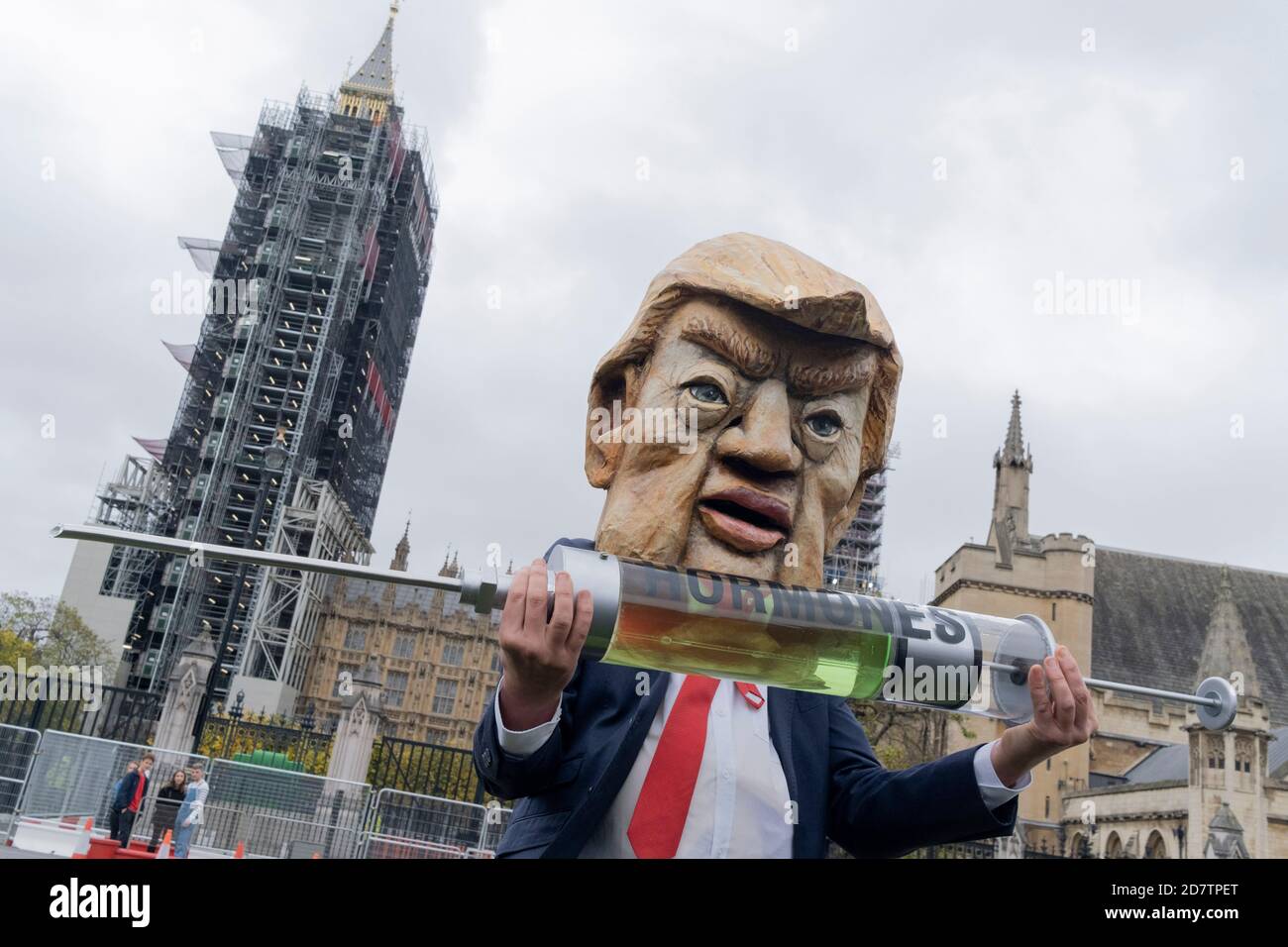 Ten days ahead of the US Presidential elections, a Donald Trump lookalike holds a symbolic syringe containing the hormones that protesters say will be injected into livestock and sold to UK consumers if the UK negotiates a trade deal with the US, on 24th October 2020, in Westminster, London, England. Organisers, Global Justice Now say, 'The trade deal could lead to the NHS being opened up permanently to American healthcare companies; chlorinated chicken and hormone-fed beef; forced deregulation of the UK’s environmental laws, workers’ rights and rights to data privacy; and new rules that make Stock Photo