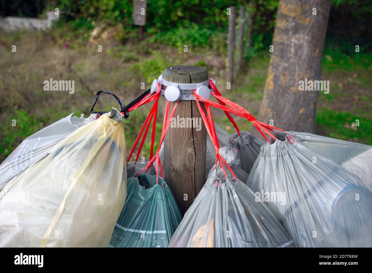 garbage bag for plastic hanging in the street for pick up garbage  collector, waiting to destroy. Recycle and environment concept Stock Photo  - Alamy