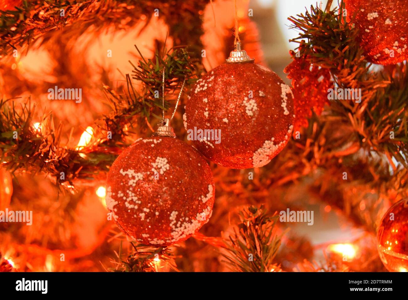 https://c8.alamy.com/comp/2D7TRMM/christmas-tree-and-lights-backgroundclose-up-detail-defocused-view-2D7TRMM.jpg