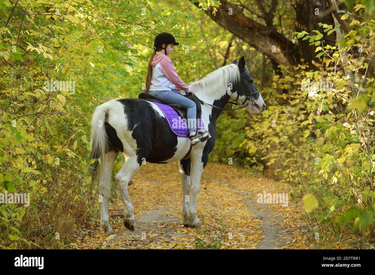 Tambov, Russia, October 20, 2020: Child girl ride andalusian dressage horse at the official rehearsal of the Pokrovskaya fair exhibition Stock Photo