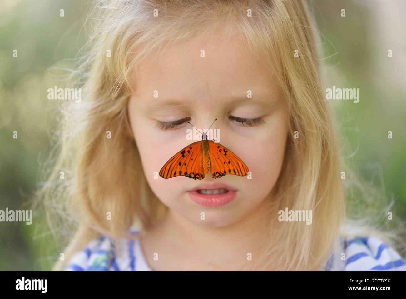 Gulf Fritillary (Agraulis vanillae), girl holding butterfly, Hill Country, Central Texas, USA Stock Photo